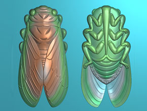 自學玉石雕刻金蟬玉雕圖案_玉石自動加工設備廠