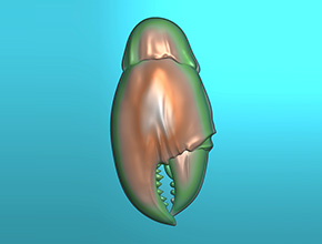 蟹鉗掛件吊墜玉石電腦精雕圖紙_玉石雕刻機(jī)廠家